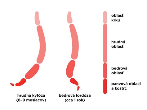 Dojčenie vo vertikálnej polohe