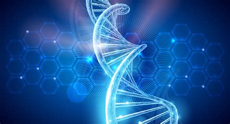 Genetické vyšetrenie po potrate: Kľúč k pochopeniu príčin a nádeji na budúcnosť