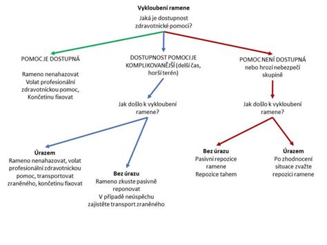 Schéma možných príčin opakovaných potratov