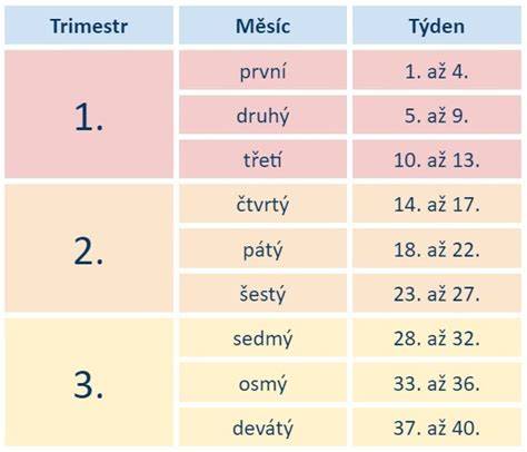 Infografika: Bežné fázy gravidity u psa (3 trimestry po 21 dní)