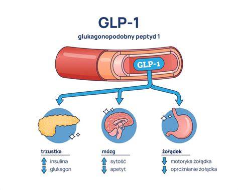 Infografika: Mechanizmus GLP-1 a jeho dopad na hlAd