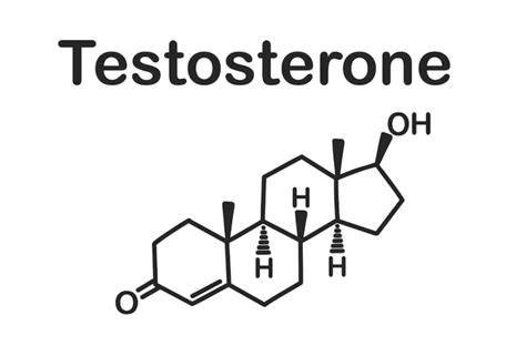 Infografika: Ako hCG stimuluje LH a testosterón
