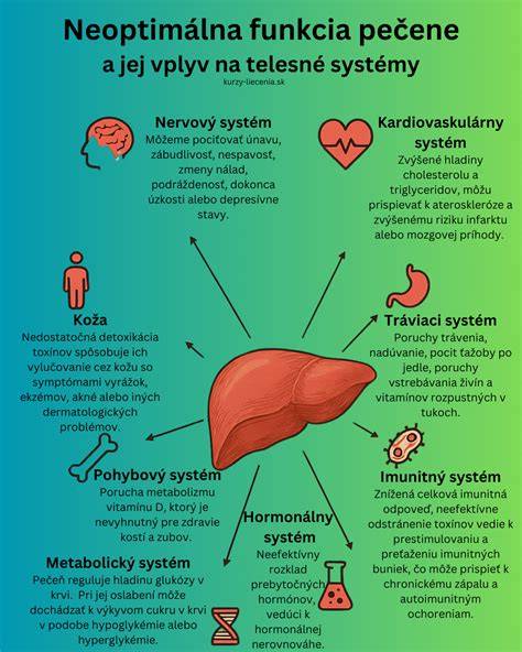 Infografika: Hormonálny systém tela a hlavné hormóny