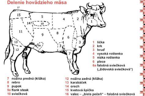 Infografika: Základy zavádzania mäsa do detskej stravy - postupnosť vekov a vhodné druhy mäsa