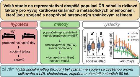 Rizikové stavy a gynekologické ochorenia spojené s hnedým výtokom