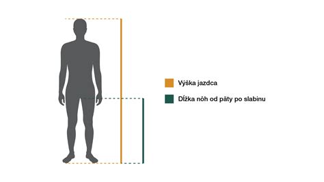Infografika: Správna veľkosť huslí podľa veku a dĺžky ramena