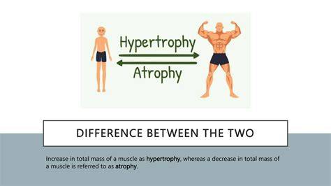 obrazok_hypotrofia_plod.jpg