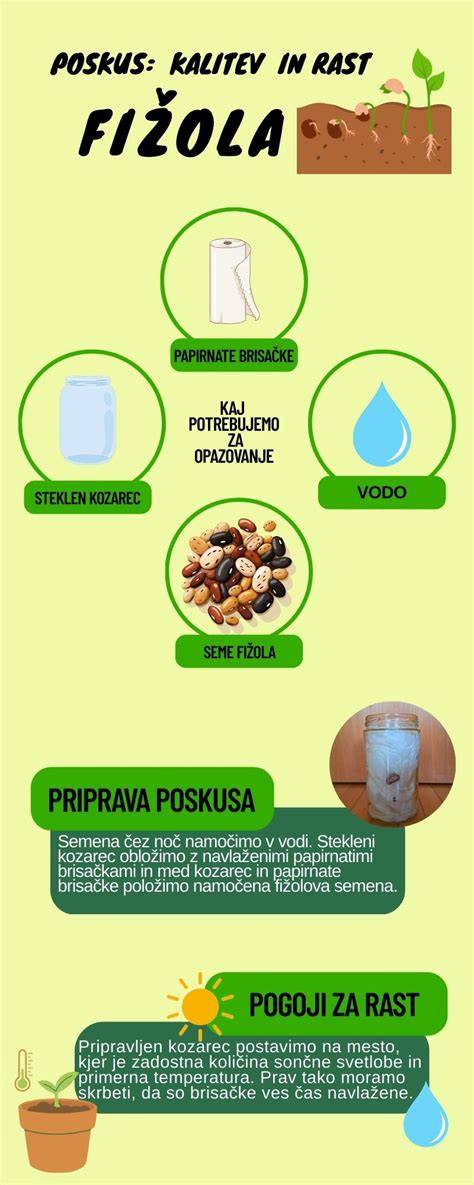 Infografika: Rozmiery a usporiadanie pôrodného boxu