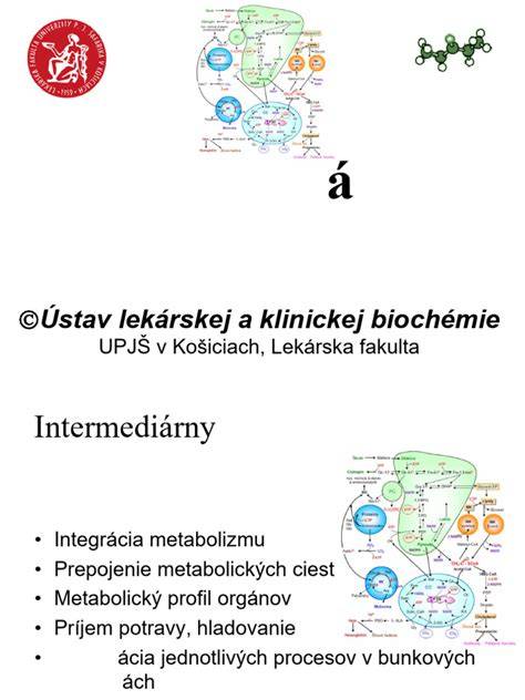 Schéma: Cesta myo-INOzitolu a D-chiro-INOzitolu v organizme