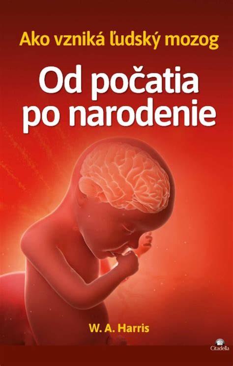 Infografika: Dieťa od počatia po narodenie a etické dilemy