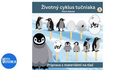 Infografika: Životný cyklus trestného činu ( príprava -> pokus -> dokonanie )