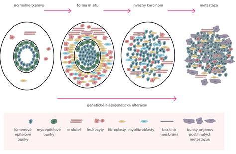 Infografika: Štruktúra špecializačného štúdia a subšpecializácií v gynekológii a pôrodníctve
