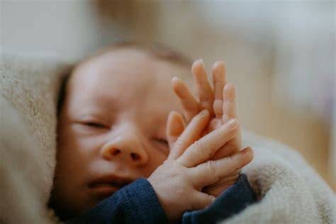 Priebeh IVF cyklu s darovanými oocytmi: krok-za-krokom pre pochopenie a realistické očakávania