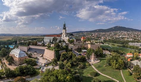 Jasle Jarka kontakt: Podrobný prehľad zariadenia a kontaktov v Nitre