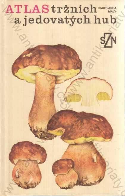 základná ilustrácia rozlíšenia jedlých a jedovatých húb (gramaticky zjednotená tabuľka znakov)