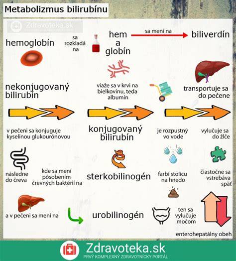 Infografika: Ako vzniká imunoglobulín z plazmy darcov
