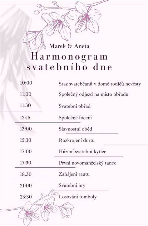 Infografika: Vzorový harmonogram prenatálnych ultrazvukov a účasť partnera