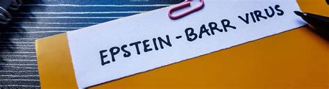 Vírus Epstein-Barrovej
