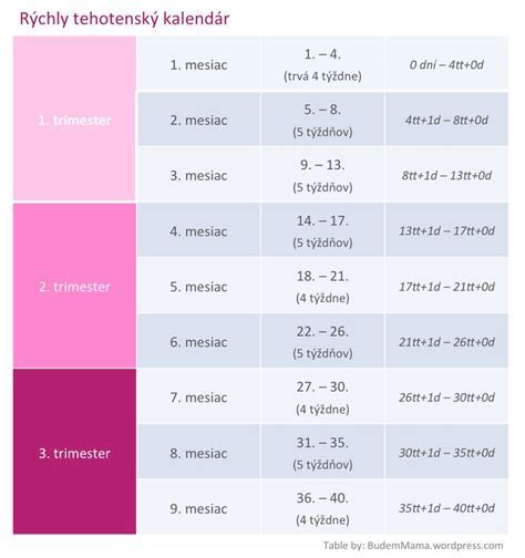 Infografika kalendára tehotenských vyšetrení