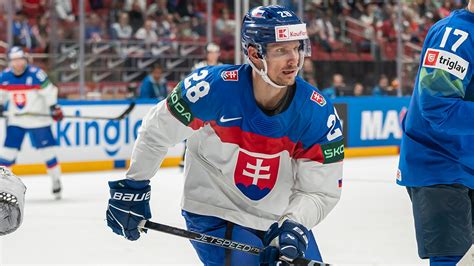 Richard Pánik: Hokejová kariéra a život mimo ľadu