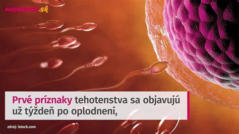 Infografika: prvý trimester a čo očakávať pri joge pre tehotné