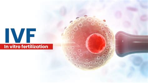 Infografika: Porovnanie krátkeho a dlhého IVF protokolu