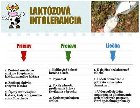 Infografika o tom, ako laktózová intolerancia ovplyvňuje tráviaci trakt a ako ju diagnostikovať
