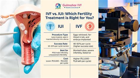 Infografika: Cesty k otehotneniu - IVF, IUI, Kryoembryotransfer