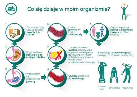 schemat_otuzovania_voda_dieta