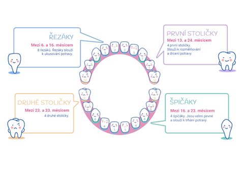 Infografika: Poradie rastu zubov u dieťaťa