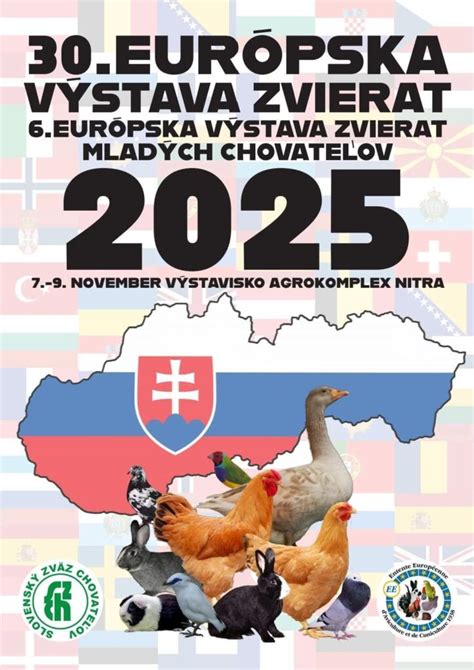 Plagát koncertu Elánu