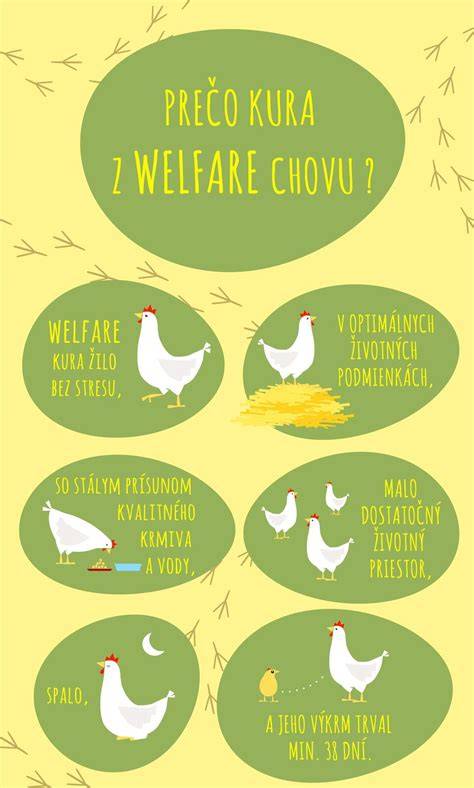 Infografika: Ako sa prenášajú spermie a kedy hrozí tehotenstvo