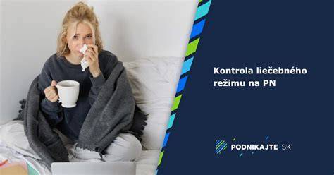 Infografika: Ako prebieha kontrola PN a čo očakávať