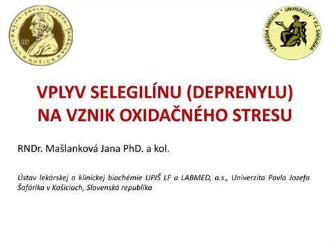 Infografika: priebeh spermatogenézy a vplyv oxidačného stresu na spermiu