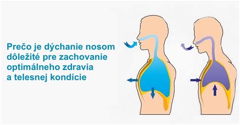 Infografika: Ako funguje nosové dýchanie a prečo je dôležité pre novorodencov