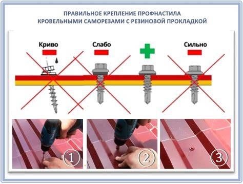 Kocík Tako Dalga: technické parametre a hmotnosť, výber a porovnanie s inými modelmi