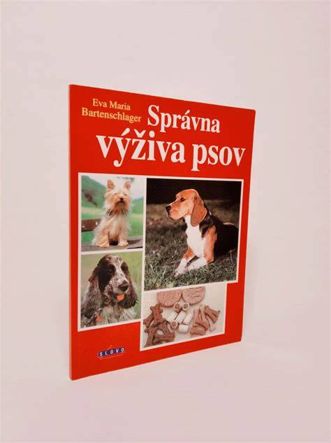 Infografika: Základná výbava a správna výživa mačky v byte