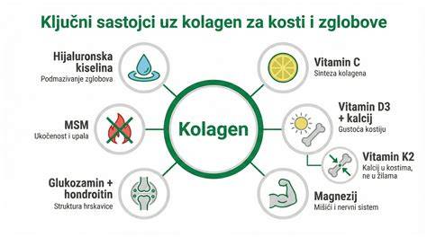 infografika_kolagen_deti_rast