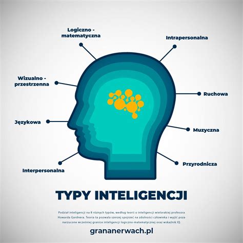 Infografika: typy koliesok na kočíky