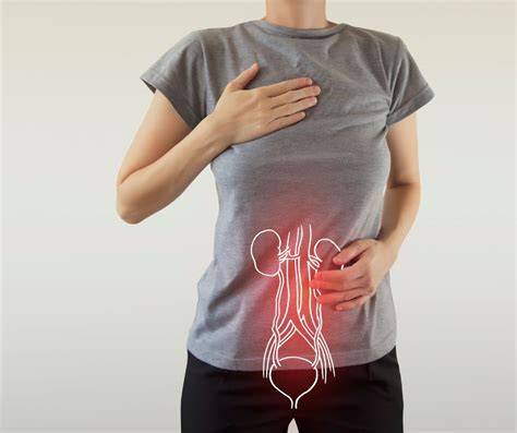 Infografika: Hormóny, močový mechúr a signály tela