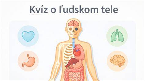 Počet kostí v ľudskom tele u dieťaťa a jeho vývin: prehľad zaujímavostí o kostre