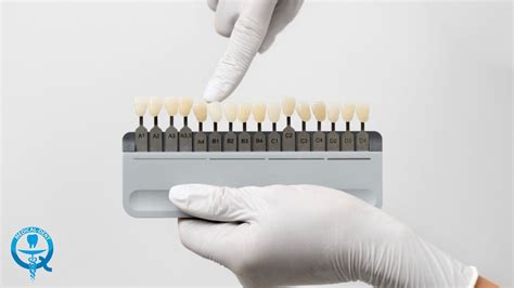 Systém vzdelávania v Spojenom kráľovstve