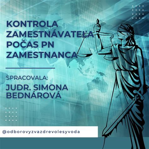 Infografika: Priebeh kontroly počas PN a práva poistenca