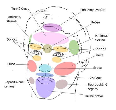 Mapa oblastí tváre vhodných pre HIFU a vizualizácia procesu