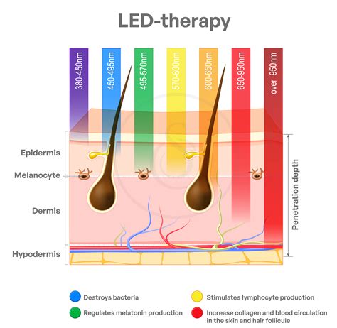 Infografika: Komplexná funkcia ultrazvukových špachtlí, galvanických iónov, hydrodermabraze a LED terapie