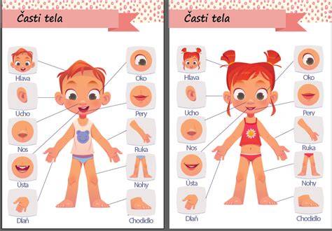 Infografika: Póza cupiaceho dieťa s označenými bodmi pre hlavu, ruky, nohy a telo