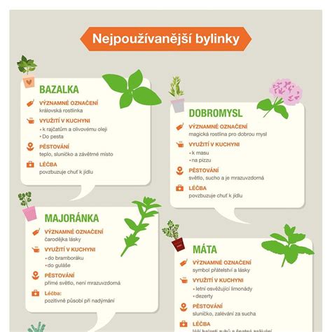 Infografika: Bezpečné a nevhodné bylinky v tehotenstve