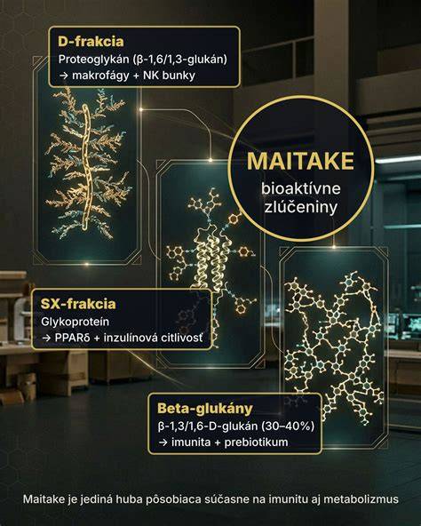Infografika: Mechanizmus účinku akupunktúry na reprodukčný systém