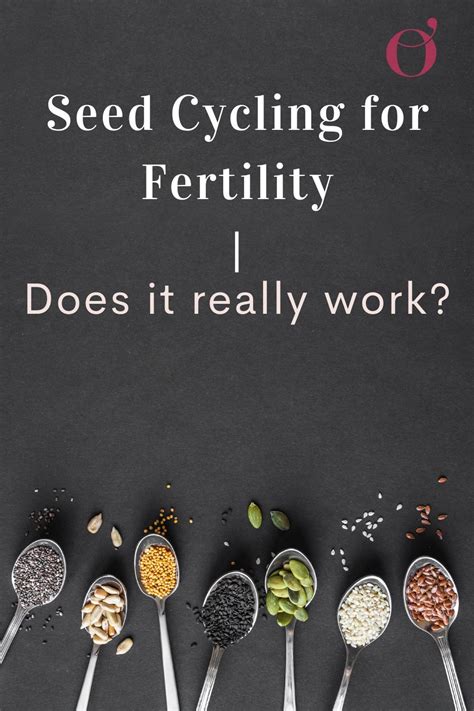 Infografika: Seed cycling - rozdielne semienka v rôznych fázach cyklu