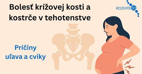 Schéma bezpečného a rizikového použitia bylín v tehotenstve